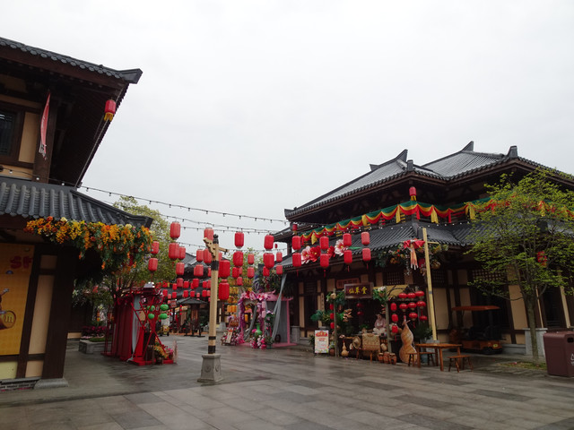 DSC09255.jpg