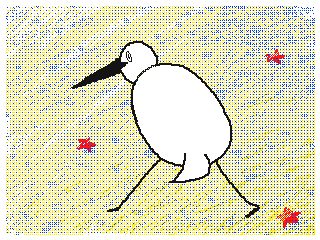image.gif