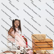IMG 0938