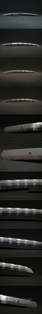DSC8111.jpg