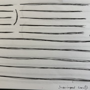 IMG 2501
