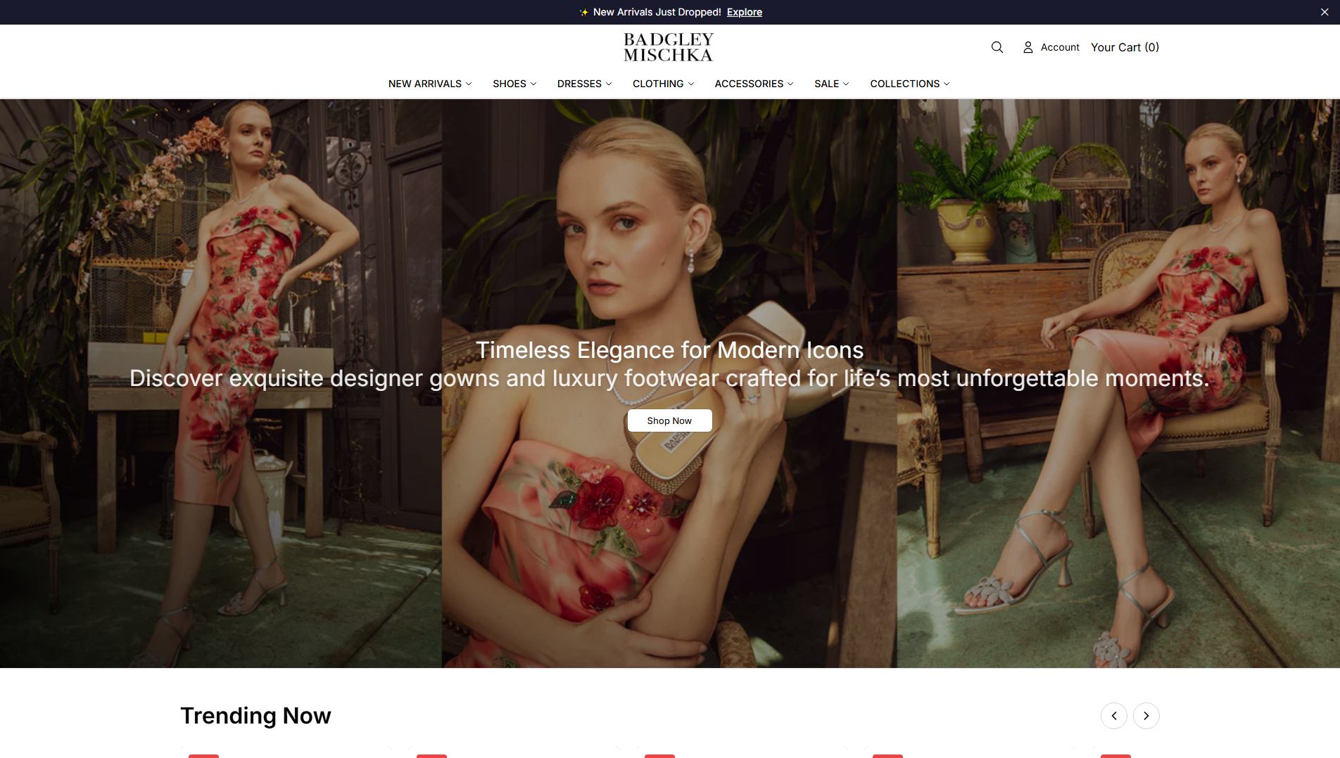 Stored capture of badgleymischkashop.shop