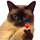 https://i.ibb.co/LhpTRQDB/15.png