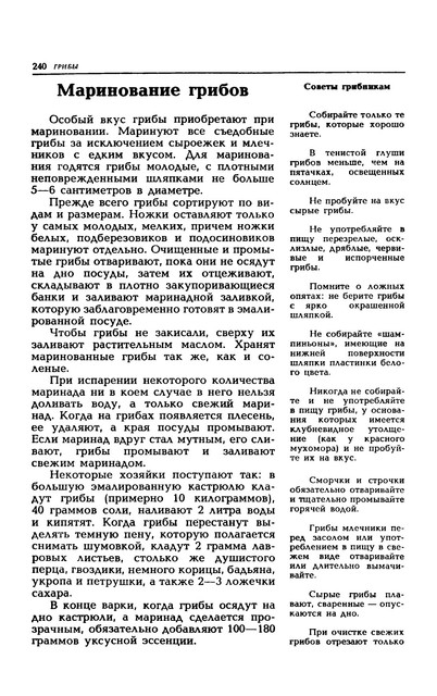 1989-243