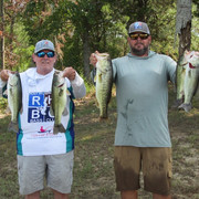 RHBC Holbrook 12