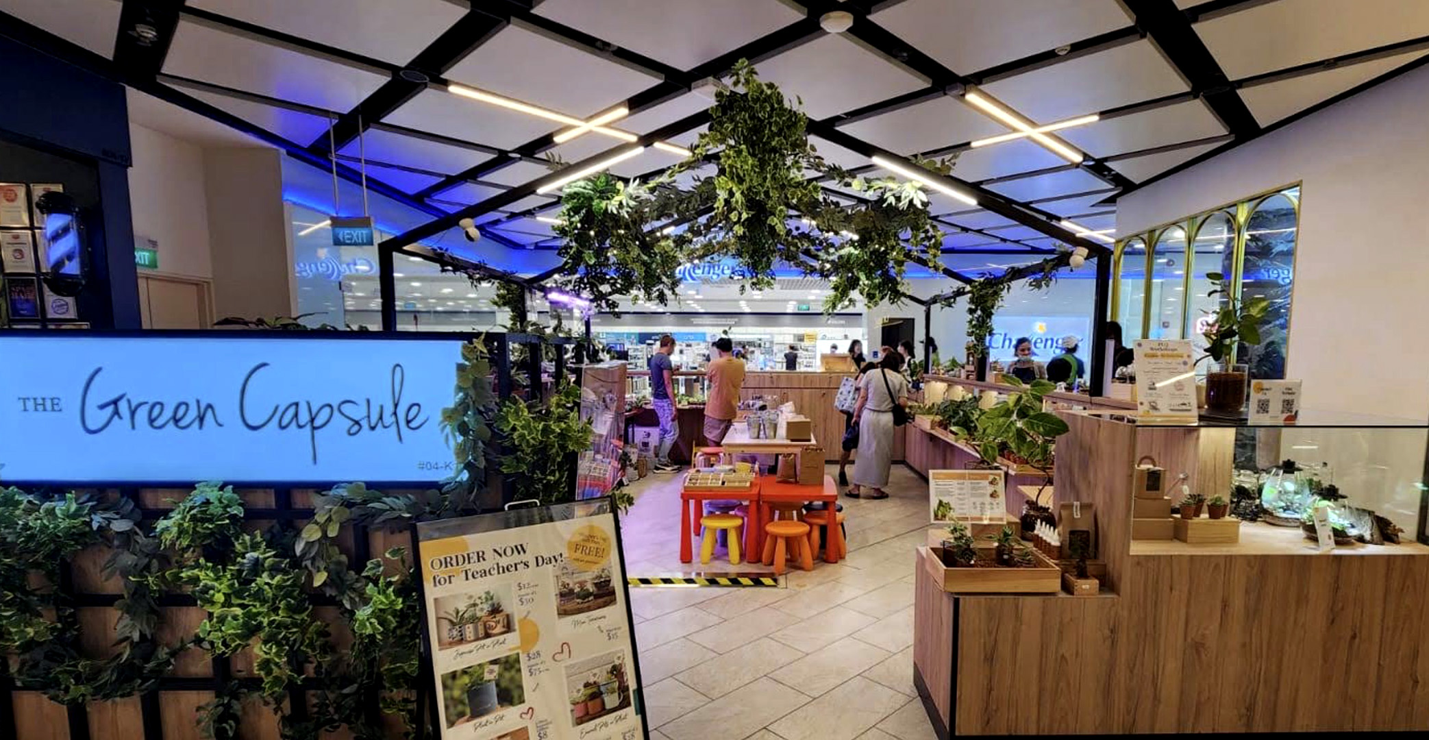 Terrariums and plant displays at The Green Capsule PLQ Mall