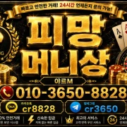 pmang money guide