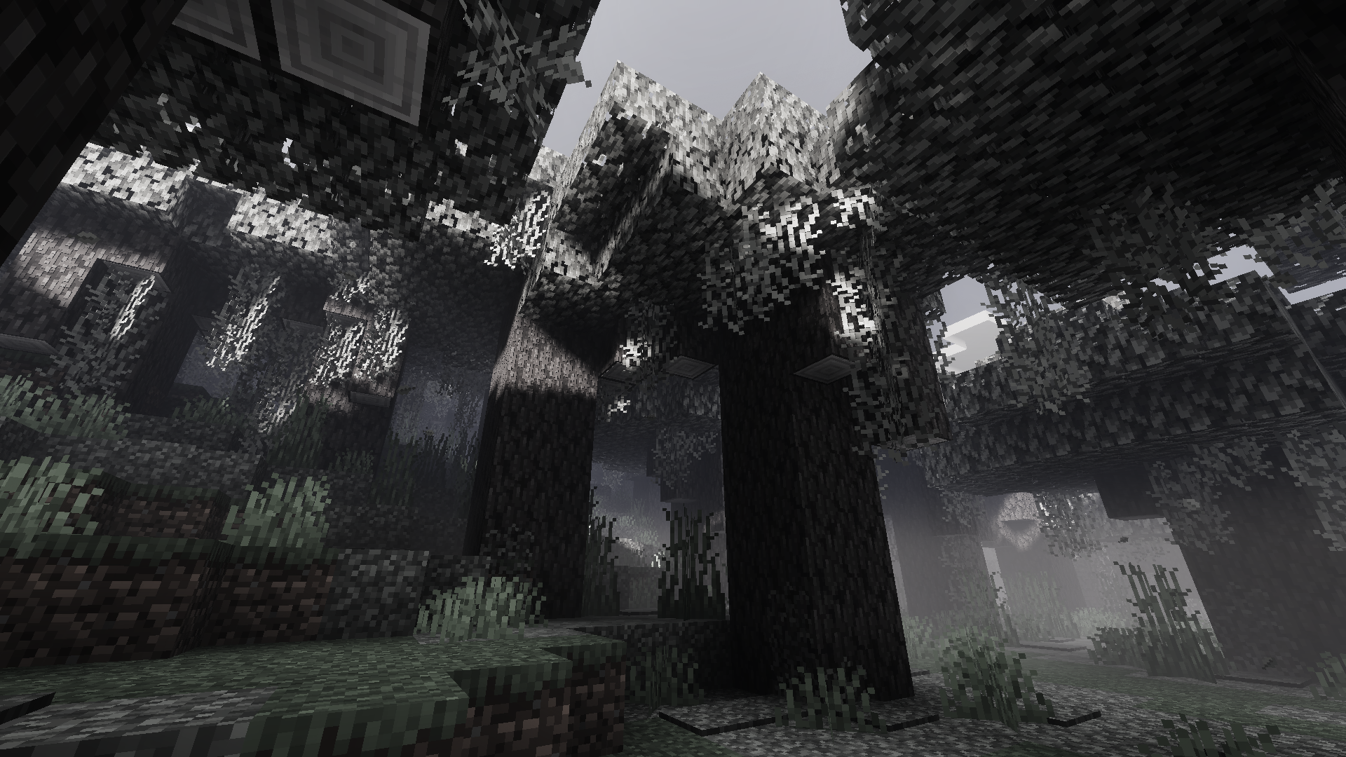 Dark Oak Canopy