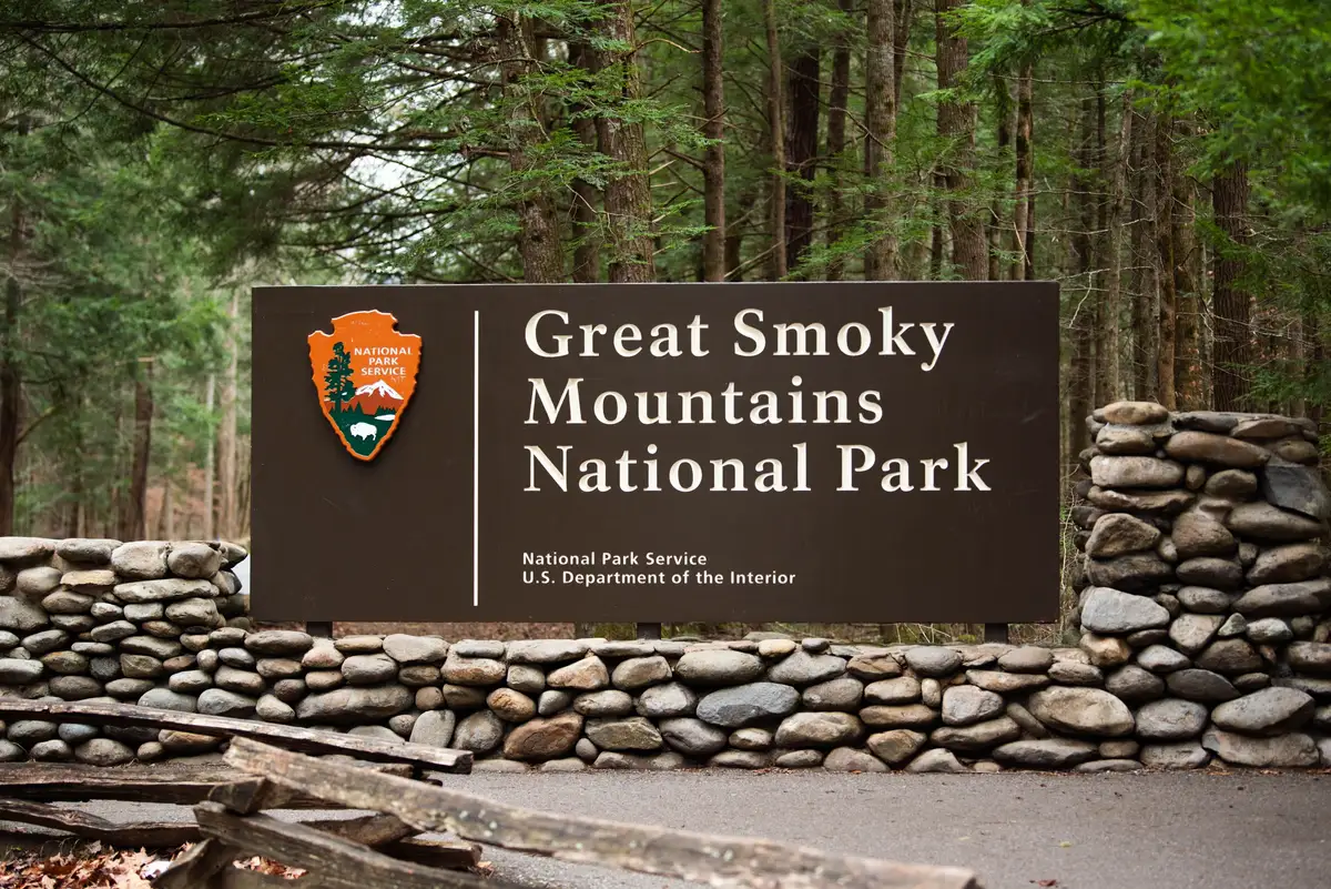 Great Smoky Mountains Firefly Display Faces Uncertain Future