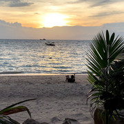 IMG-0581