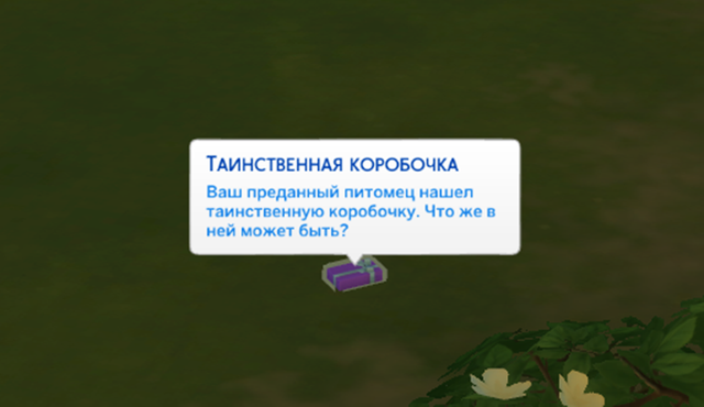 6-1