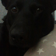 IMAG2853