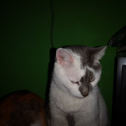 IMG-20220124-025436