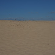 DSCF8564
