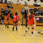 IMG-0272