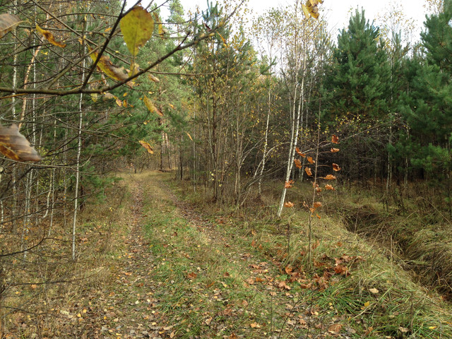 IMG-4347.jpg