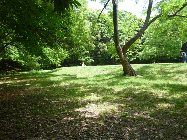 2020-05-18-059