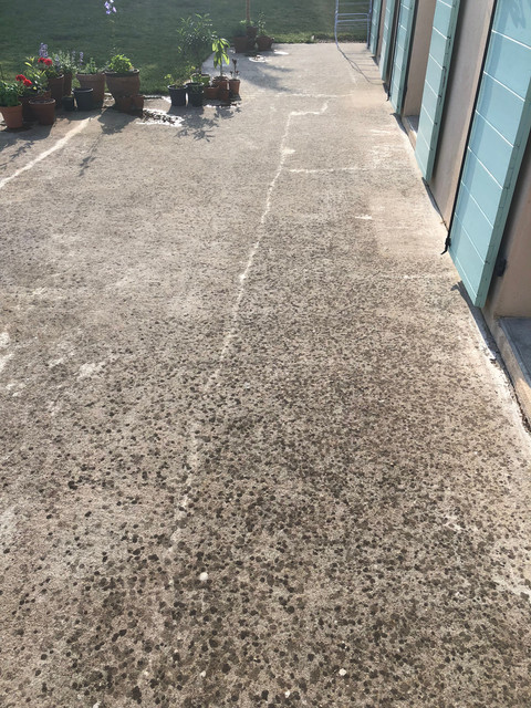 IMG 0028