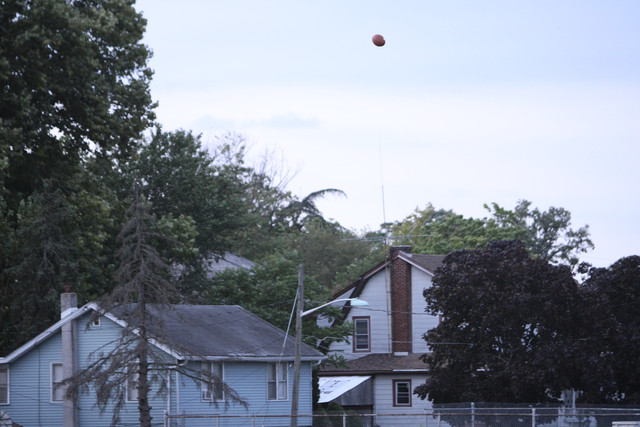 IMG-2943.jpg
