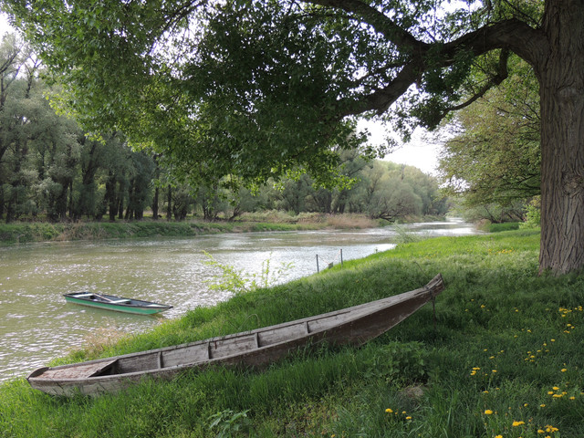 DSCN0830.jpg