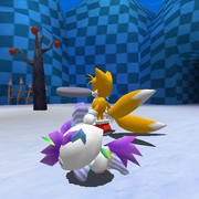 Rozalia-with-fly-brush