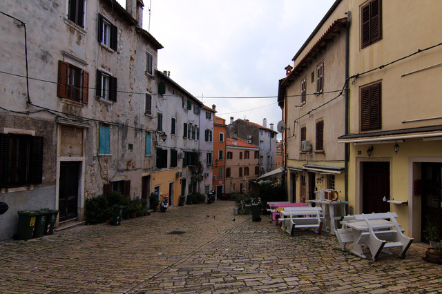 IMG-9502.jpg