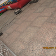 IMG-1564