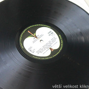 IMG-9855