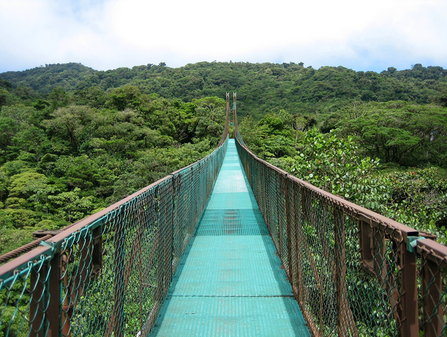 Hanging-Bridge-Monteverde-Cloud-Forest-Costa-Rica