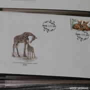 IMG-2676