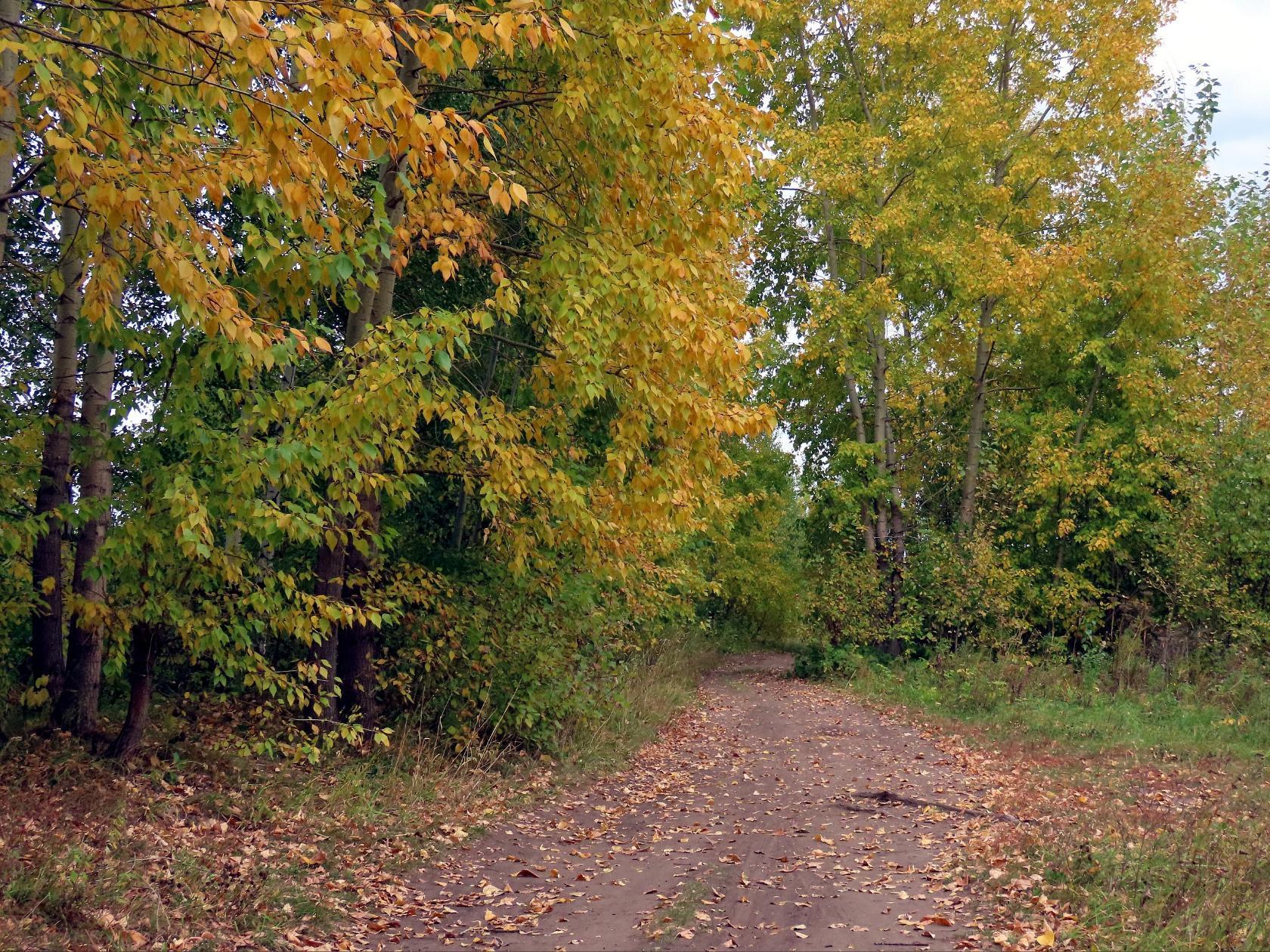 i-28