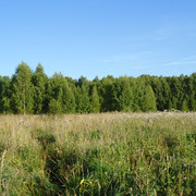 DSC00085
