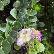 IMG-2352