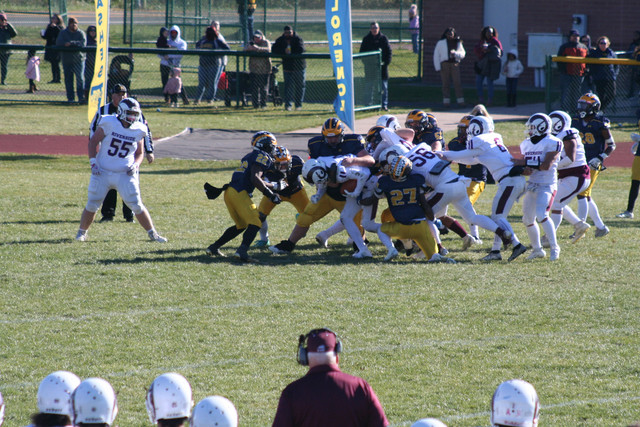 IMG-2769.jpg