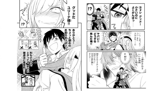 DLRAW-NET-011