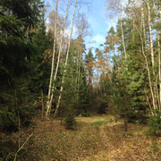 IMG-4351