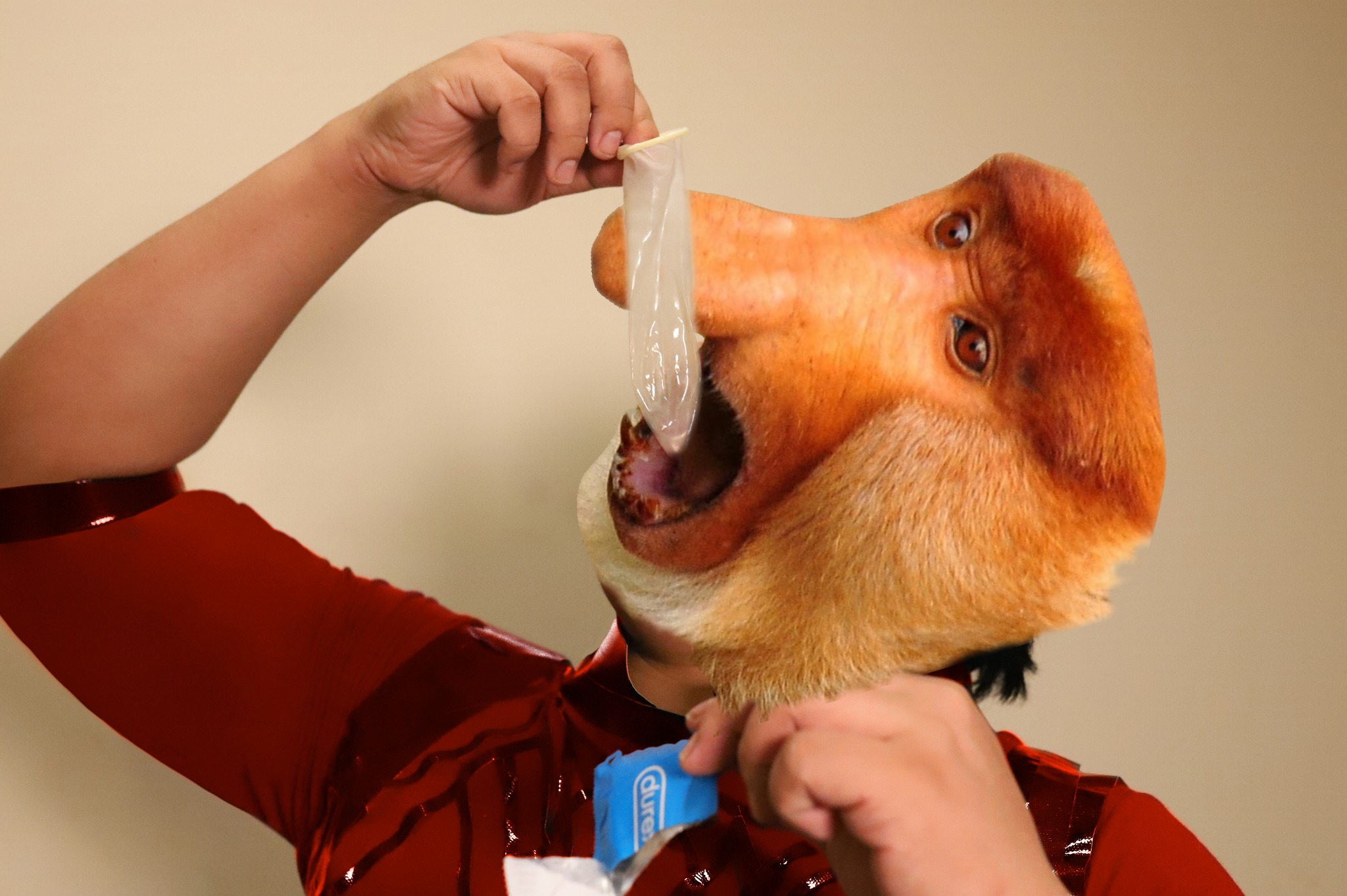 bubasida.png