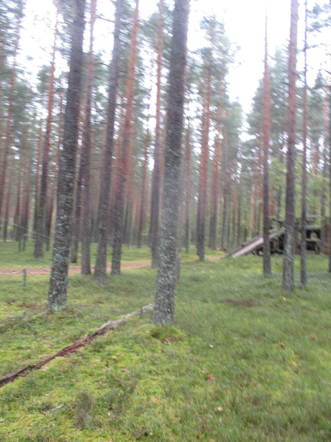 IMG-9745