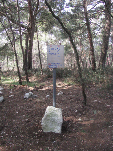 IMG-6658