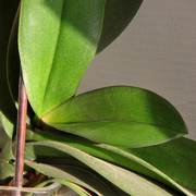 IMG-3165