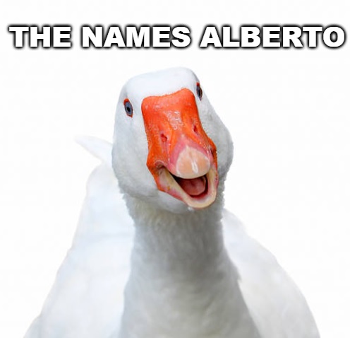 alb-Untitled.jpg
