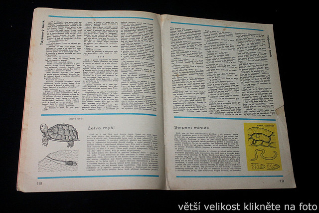 IMG-3580.jpg