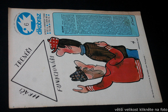 IMG-7645