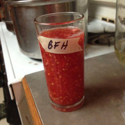 BFH-Freshseed-s