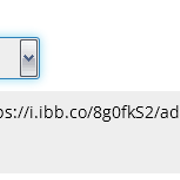 https://i.ibb.co/LtKF0N7/full-link.png
