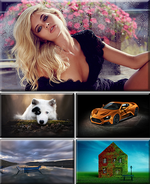Computer Desktop Wallpapers Collection. Part 2756