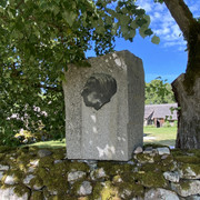 IMG-1481