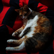 IMG-20220110-122458