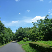 P1330902