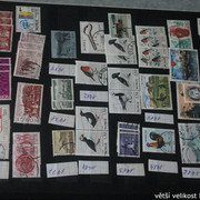 IMG-2494